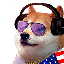 Dogecast (dogecast.build) (DOGE)