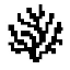 Coral Protocol (CORAL)