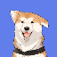 Hachiko (HACHI)