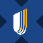 UnitedHealth tokenized stock (xStock) (UNHX)