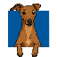 Cosmo (COSMO)