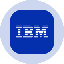 IBM Tokenized Stock (Ondo) (IBMon)
