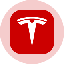 Tesla Tokenized Stock (Ondo) (TSLAon)