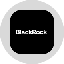 Blackrock, Inc. Tokenized Stock (Ondo) (BLKon)