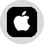 Apple Tokenized Stock (Ondo) (AAPLon)