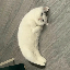 Mooncat (MOONCAT)