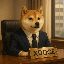 XDOGE (XDOGE)
