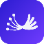Dill (DL)