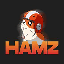 HAMZ (HAMZ)