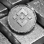 SILVER BNB (New) (SBNB)