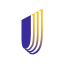 UnitedHealth Group (Derivatives) (UNH)