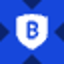 Bitgo Tokenised Stock (xStock) (BTGOx)