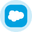 Salesforce Inc (Derivatives) (CRM)