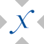 Direxion Semiconductor Bull 3X tokenized ETF (xStock) (SOXLx)