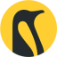 Penguin Solutions Inc (Derivatives) (PENG)
