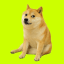 Cash Dog (cashdog.club) (CASHDOG)