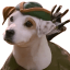 WISHBONE (WISHBONE)
