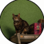 GTA6CAT (thegta6cat.com) (GATO)