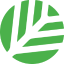 Canopy (CNPY)