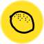 Ripe DAO Governance Token (RIPE)