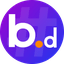 BNSD Finance (BNSD)