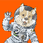 SpaceCorgi (SCORGI)